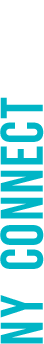 NY CONNECT INC.
